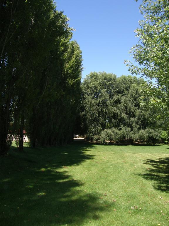 Agriturismo Greppi Crescentino Exterior photo